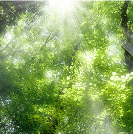 ECO・CSR活動のイメージ